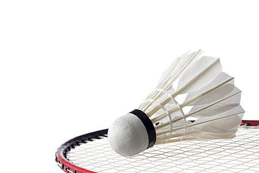 国际赛场稳 国际赛场稳